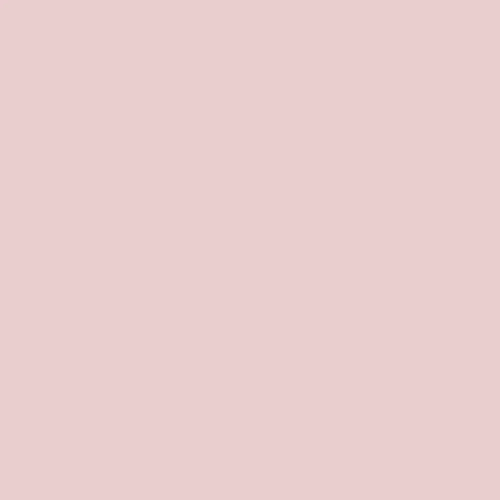 Showerwall Acrylic 2440 X 1220 Blush SWA21 - Image 2