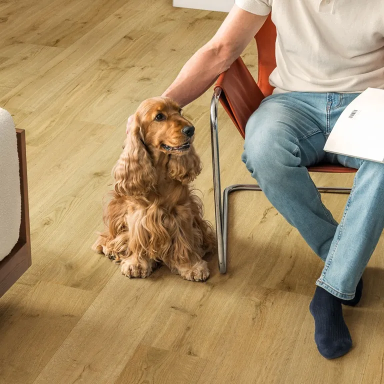 Quick-Step Impressive 8mm Laminate Truffle Oak IM8256